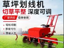 點擊查看詳細信息<br>標題：草皮劃線機 閱讀次數：2816